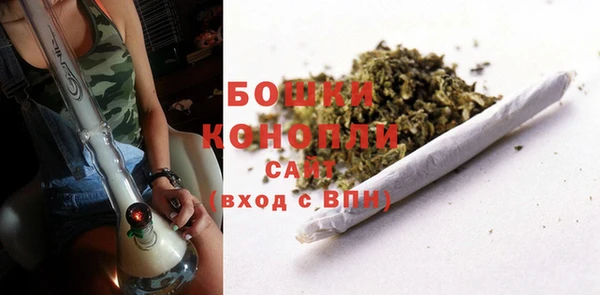 прущий лед Белокуриха