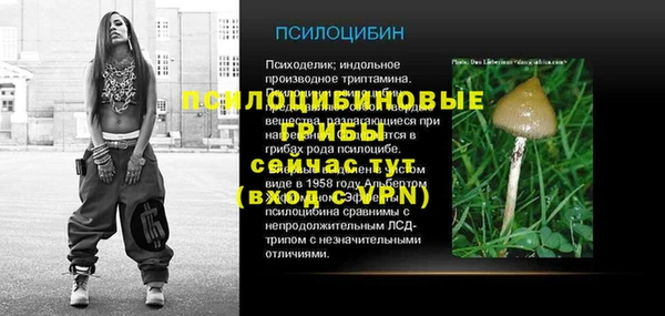 2c-b Беломорск