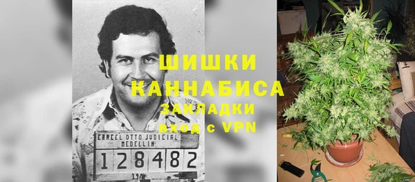 mix Богородицк