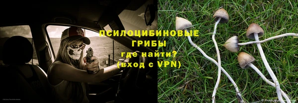 прущий лед Белокуриха
